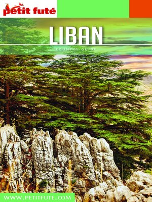cover image of LIBAN 2020 Petit Futé